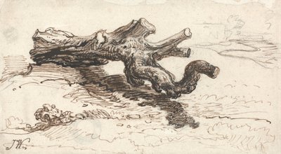 A Tree Trunk on the Ground by James Ward